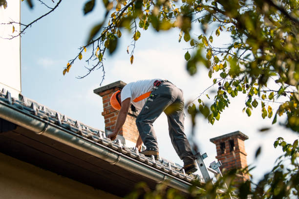 Best Metal Roofing Contractor  in Maunawili, HI