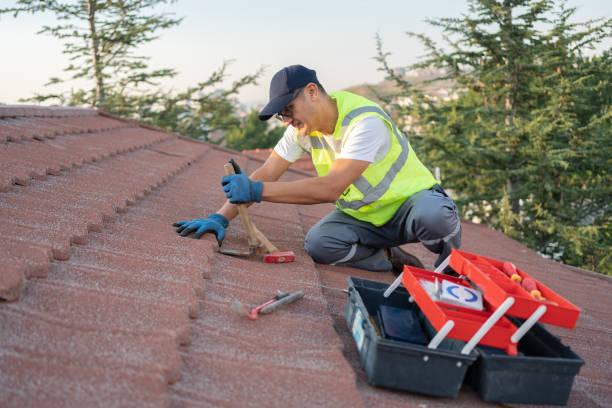 Best Sealant for Roof  in Maunawili, HI